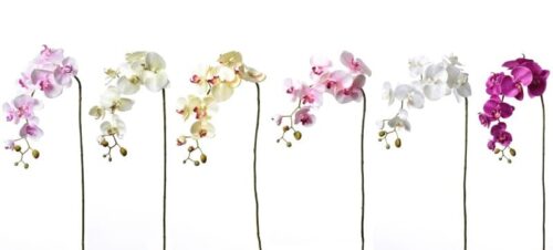 Orchidea mix farieb 95cm